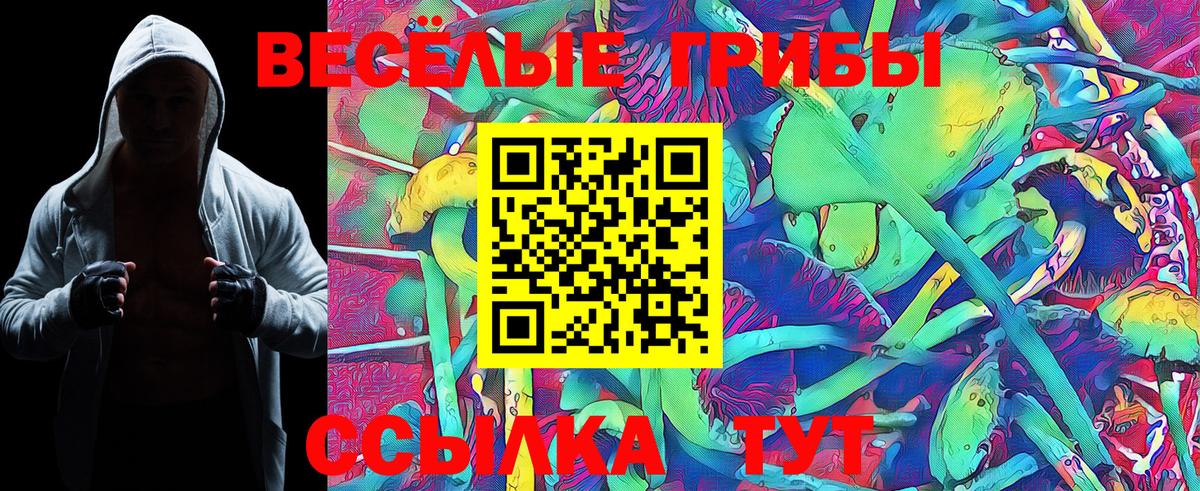 Кириши  Галлюциногенные грибы Psilocybine cubensis  Вход с VPN  Псилоцибиновые грибы GOLDEN TEACHER 