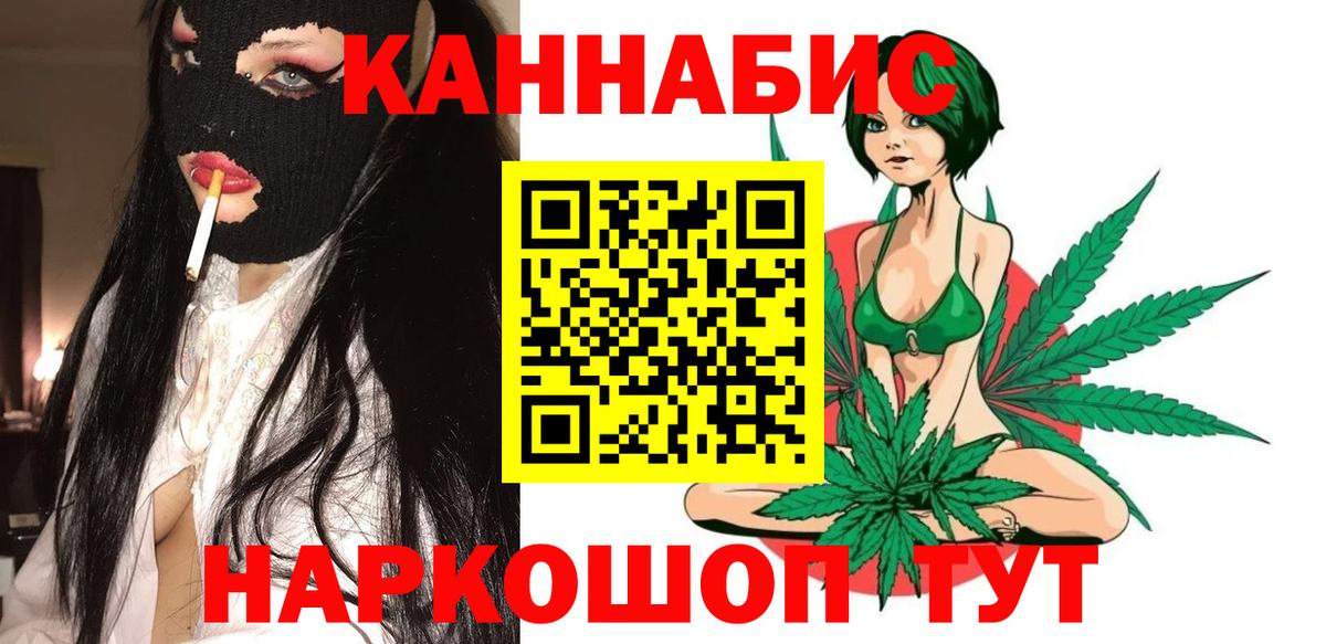 Бошки Шишки планчик Кириши